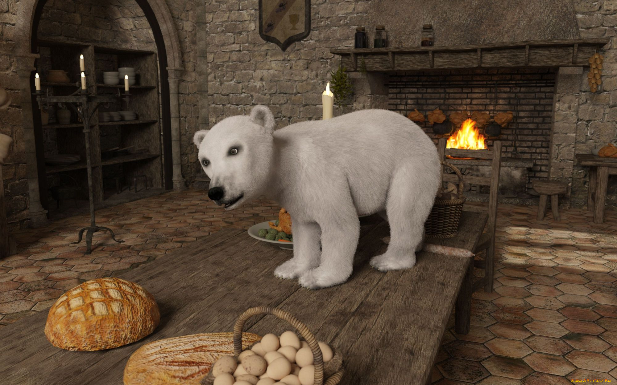 3 ,  , animals, , 